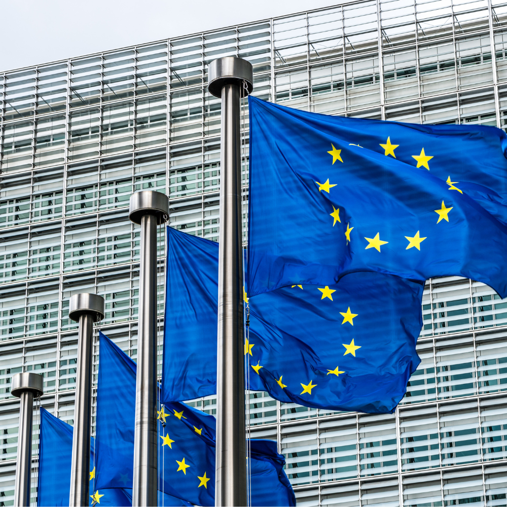 EU flags